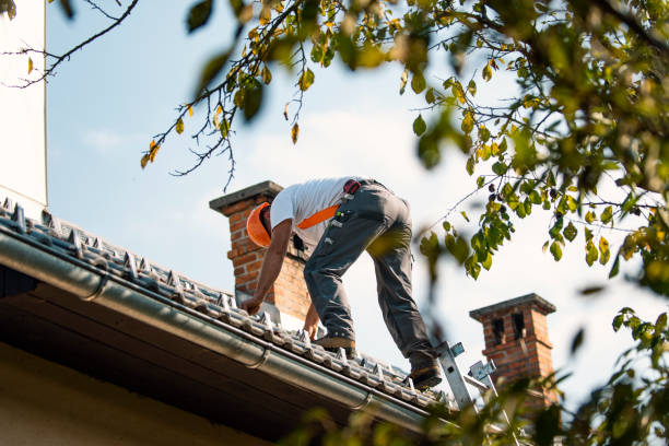 Best Roof Restoration Services  in Pomeroy, OH