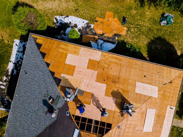 Best Roof Maintenance Services  in Pomeroy, OH