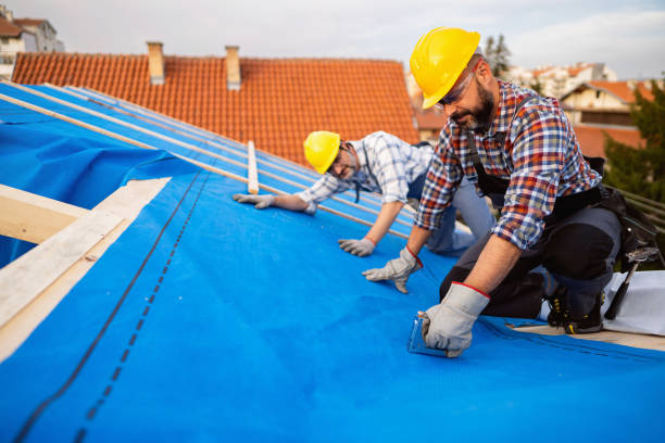 Best Local Roofing Companies  in Pomeroy, OH